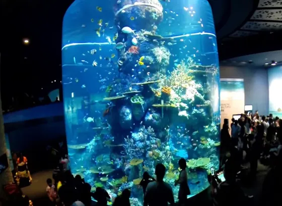 Sentosa Island S.E.A Aquarium 2 screen_shot_2016_01_30_at_11_58_26_am